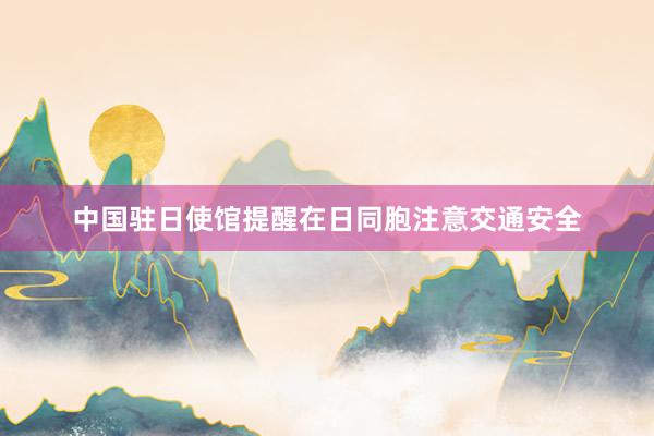 中国驻日使馆提醒在日同胞注意交通安全