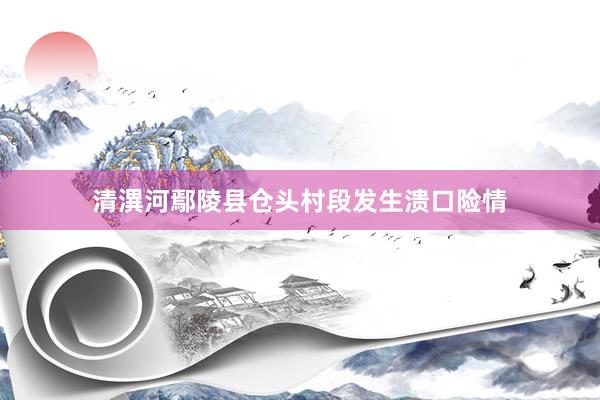 清潩河鄢陵县仓头村段发生溃口险情