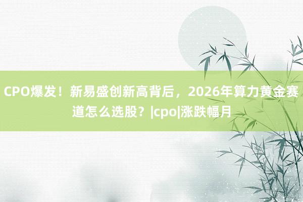 CPO爆发！新易盛创新高背后，2026年算力黄金赛道怎么选股？|cpo|涨跌幅月