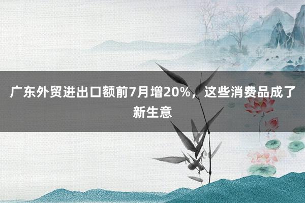 广东外贸进出口额前7月增20%，这些消费品成了新生意