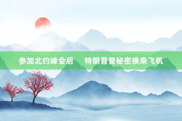 参加北约峰会后     特朗普曾秘密换乘飞机