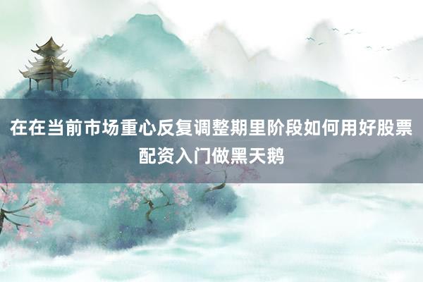 在在当前市场重心反复调整期里阶段如何用好股票配资入门做黑天鹅